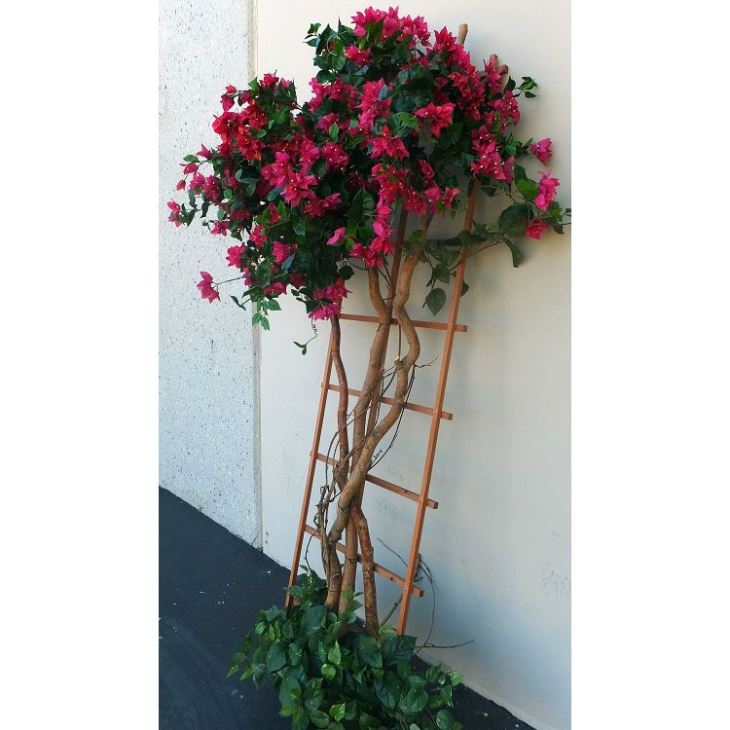 SILK BOUGAINVILLEA TREE