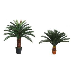 Sago Palmier Artificiel