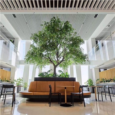 Olivier noir artificiel d'intérieur